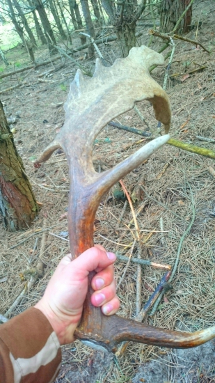 zaujímava lopata aspoň pre mňa