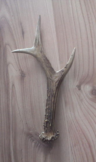 Spomienka na leto :)