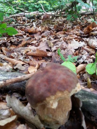 sezóna 2014 už začala aj pre mňa