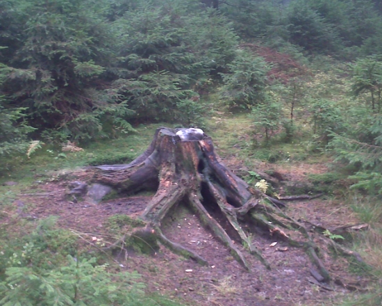 Moje solisko 1100 mnm