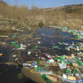 bobria hrádza u nás