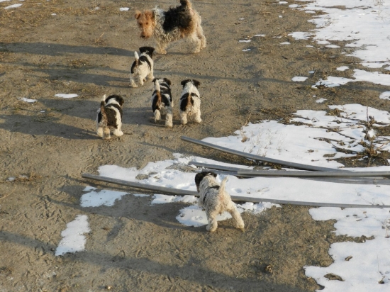 No poďte už,nezaostávaj!