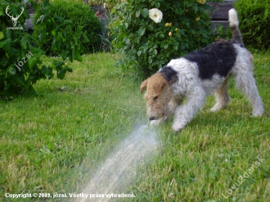 nebojím sa ani vody!- Tori