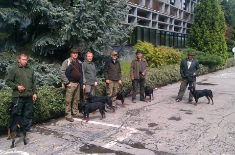 Svetová Klubová výstava Slovenských kopovov, Zvolen 2014. Zostava zo Zlatých Moravi