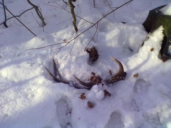 Teraz v Januári ale starý