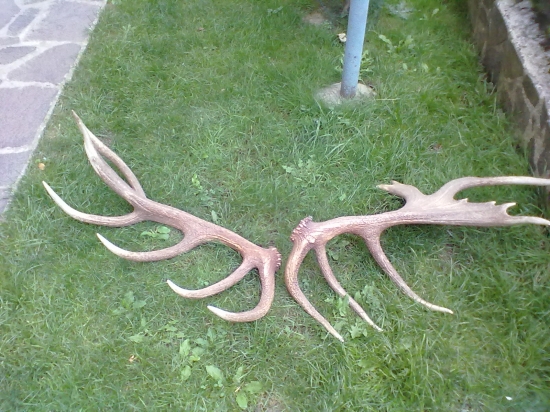 kamarátove na hríboch rok 2011