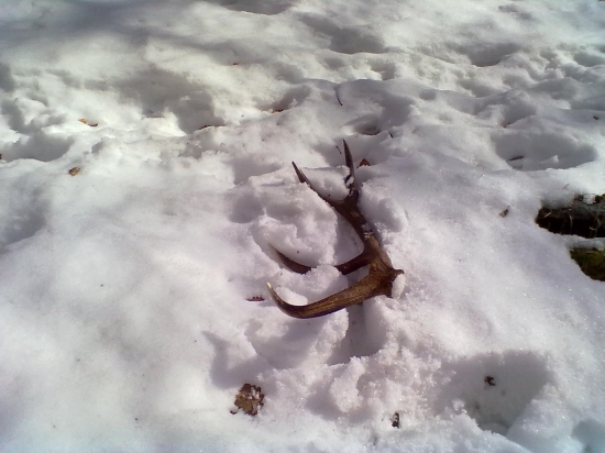 Február rok 2012 kamarátov