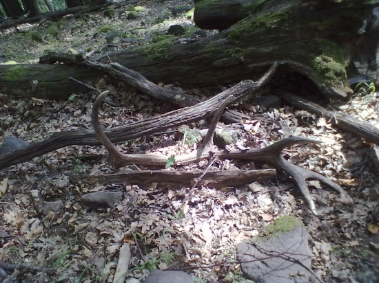 kamarátov cez ruju októbri 2012