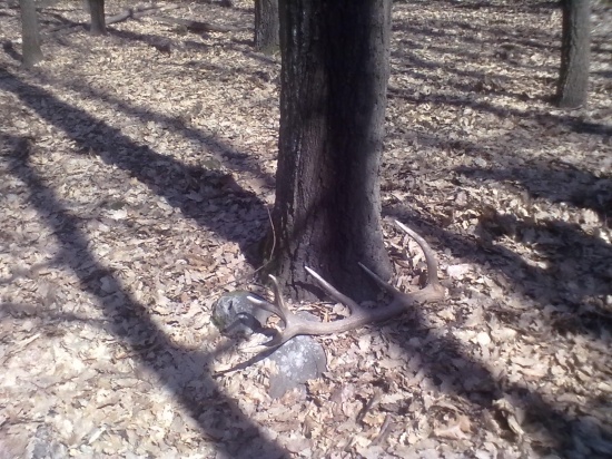 marec rok 2012 kamarátov