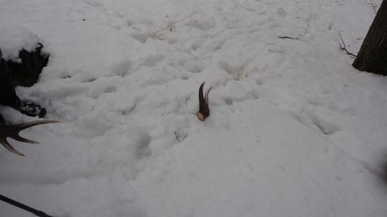 kamarátov ktomu páru