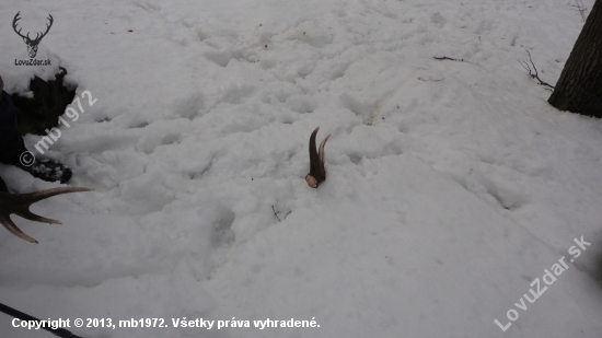 kamarátov ktomu páru