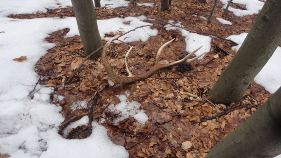 dnes ráno ku kamatovmu pár