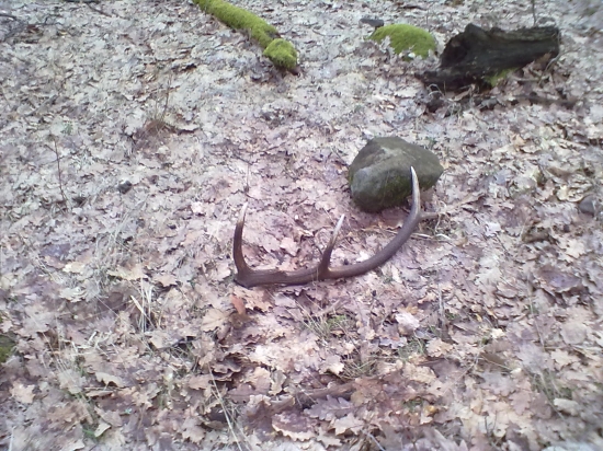 kamarátov marec 2013