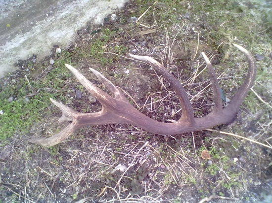 marec 2013 kamarátov