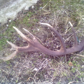 marec 2013 kamarátov