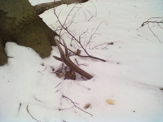 môj k sobotňajšiemu páru