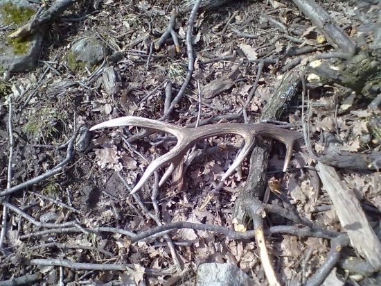 dnešný z troch najdených zhodov