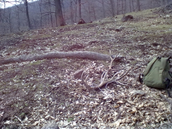 sobotňajšia vychadzka