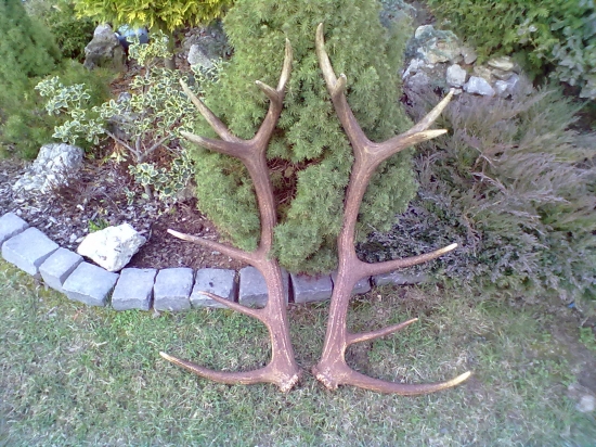 dnešná prechádzka