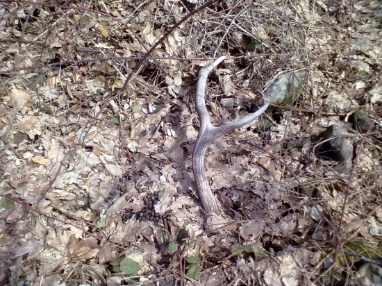 po roku som našiel pár