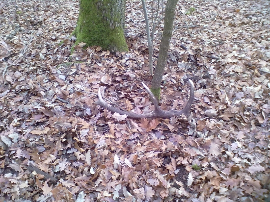 kamarátov január 2014 vlaňajší