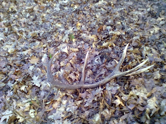 dnes ráno kamarátov