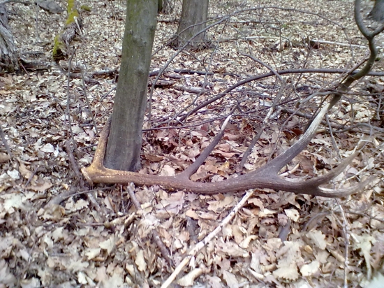 poobede s kamarátom