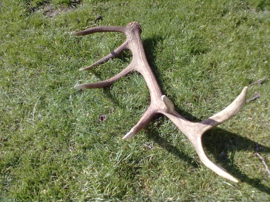 pekný zhod u kamaráta