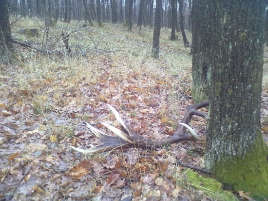 dnes krásne počasie dážď