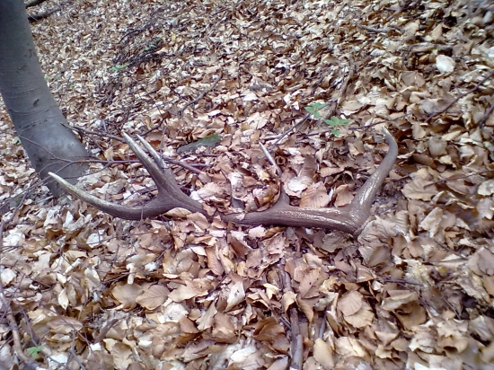 včerajší kamarátov