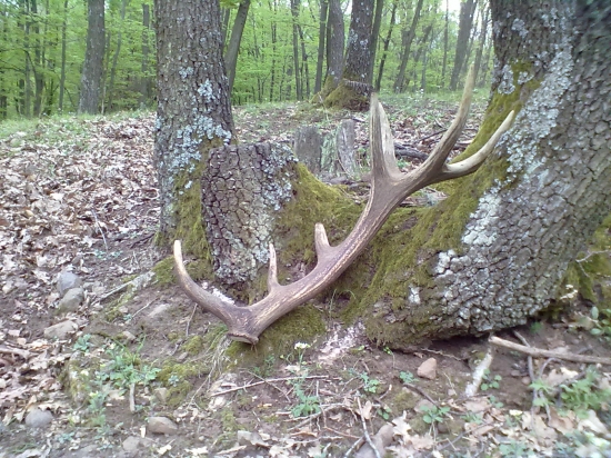 krásny kamarátov veľký zhod