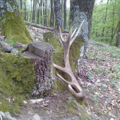 iný pohľad