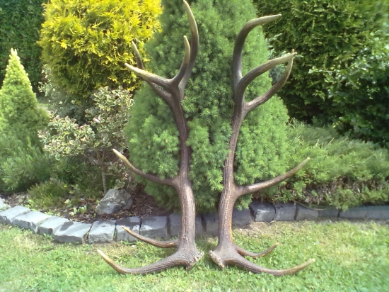 zlatá pára iný pohlad