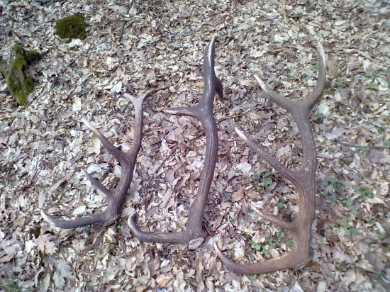 marec 2014 s kamarátom