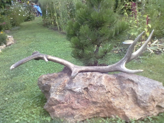 stále sa dajú najsť