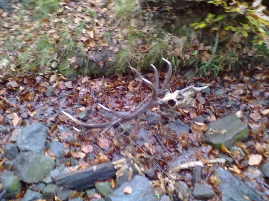 október 2013