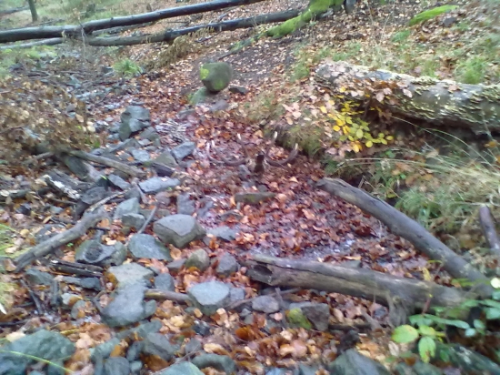 október 2013