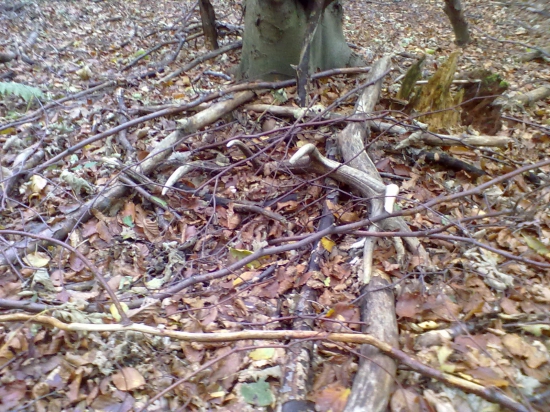 dnešná prechádzka s kamarátom