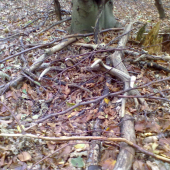 dnešná prechádzka s kamarátom