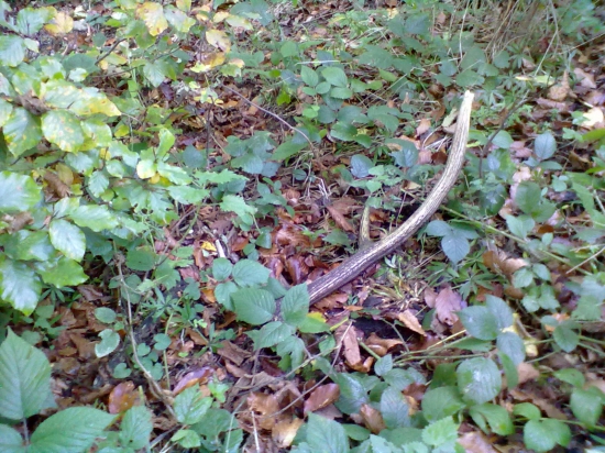 včerajší kamarátov