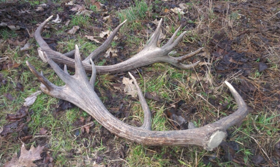 pekné kamarátove zhody