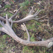 pekné kamarátove zhody