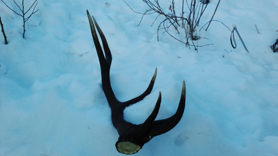 zaujímavý zhod č.2