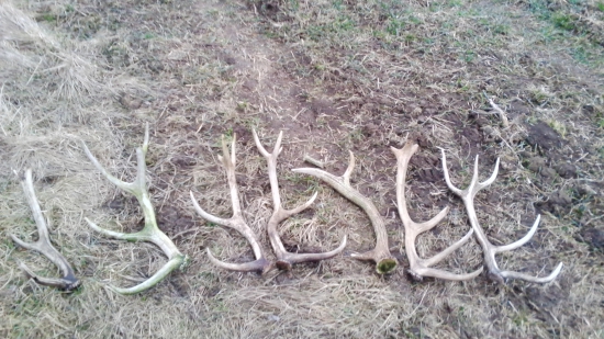 s kamarátom a zase staršie