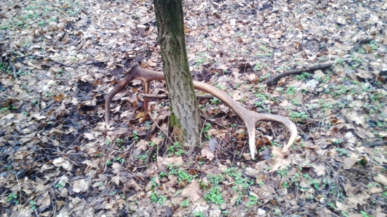 včerajší kamarátov