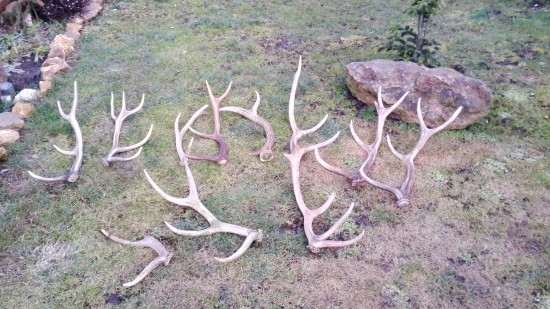 vlaňajšie tento rok