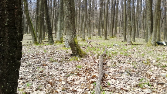 kamarátov prvý pohľad