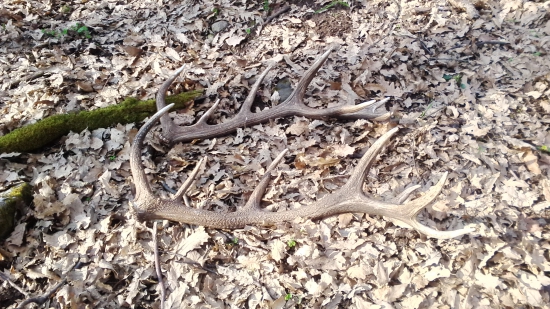 kamaátove zo soboty