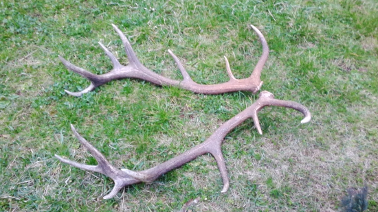 kamatátove konečne spolu