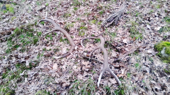 dnes kamarátove šťastie